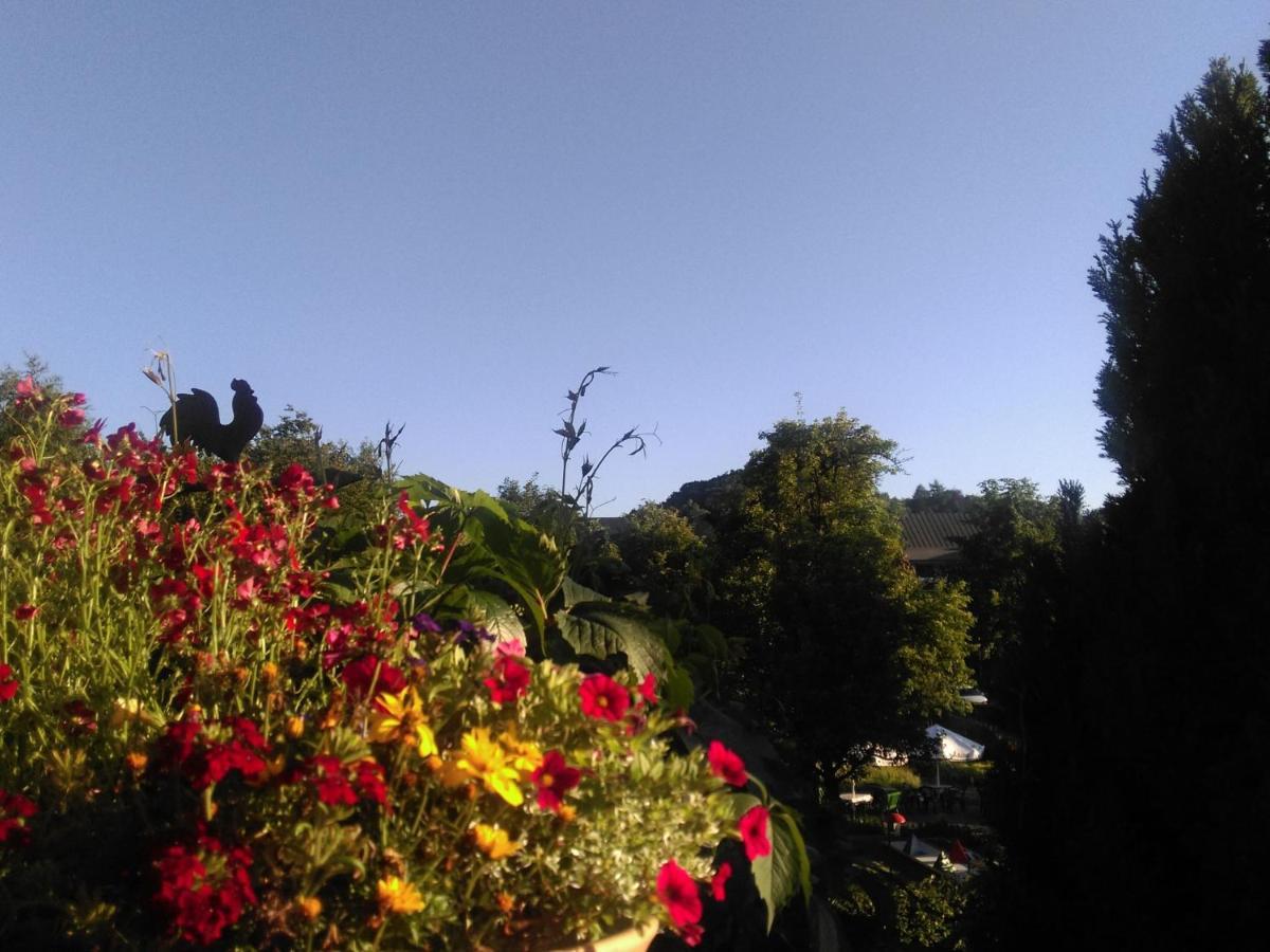 1St Floor Apartment Near Willingen Віллінген Екстер'єр фото